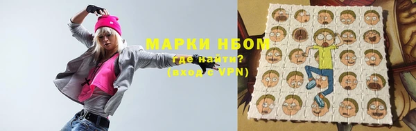 индика Пыталово