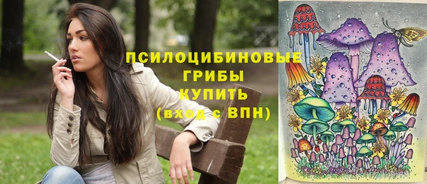 кристаллы Тында