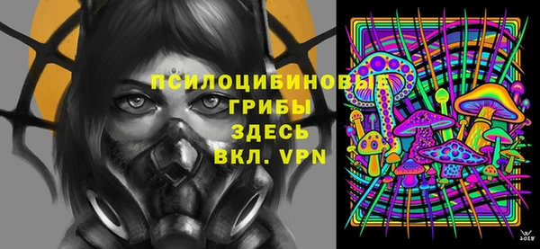 кристаллы Тында