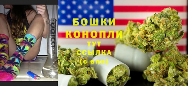 ПСИЛОЦИБИНОВЫЕ ГРИБЫ Тутаев