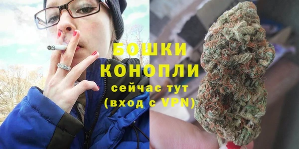 ПСИЛОЦИБИНОВЫЕ ГРИБЫ Тутаев