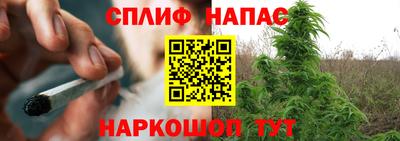 МДПВ Абинск