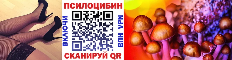 кракен зеркало  Балаково  Галлюциногенные грибы Psilocybe 