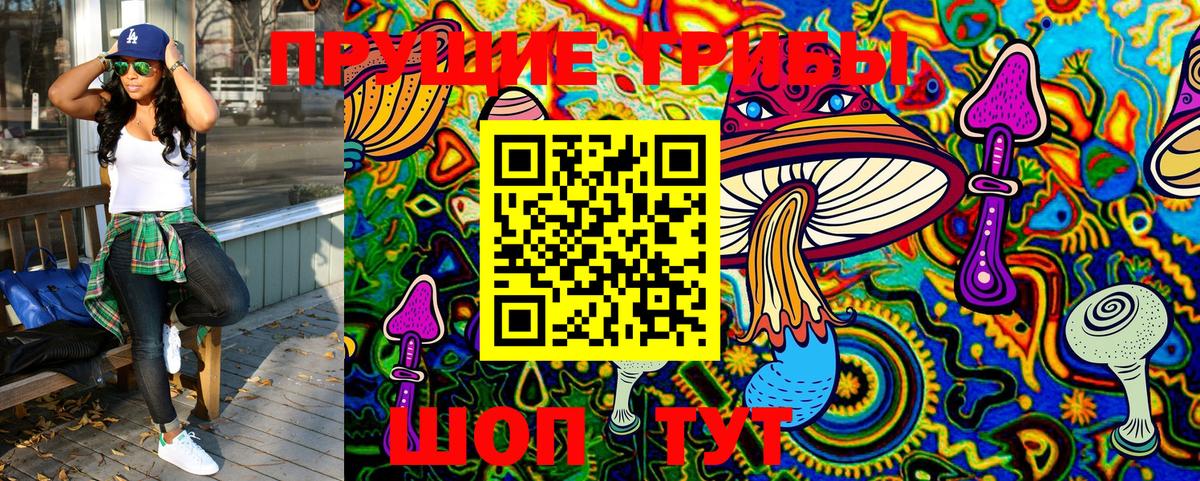 Псилоцибиновые грибы Cubensis  Балаково 